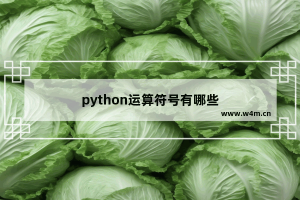 python运算符号有哪些