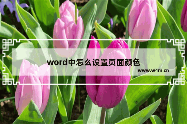 word中怎么设置页面颜色