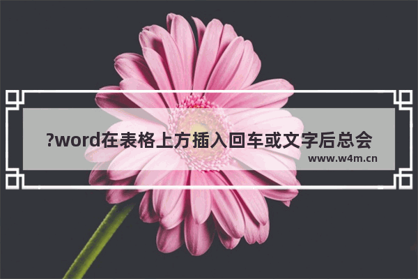 ?word在表格上方插入回车或文字后总会跳到下一页怎么办-word在表格上方按下回车就会跳动下一页的解决方法