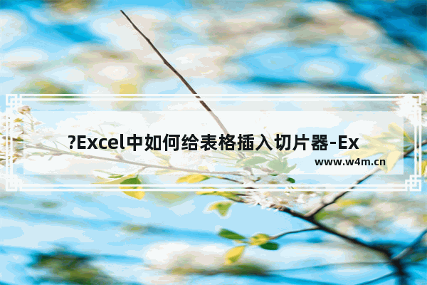 ?Excel中如何给表格插入切片器-Excel表格中使用切片器进行筛选的方法教程