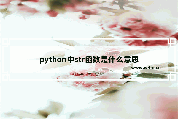 python中str函数是什么意思