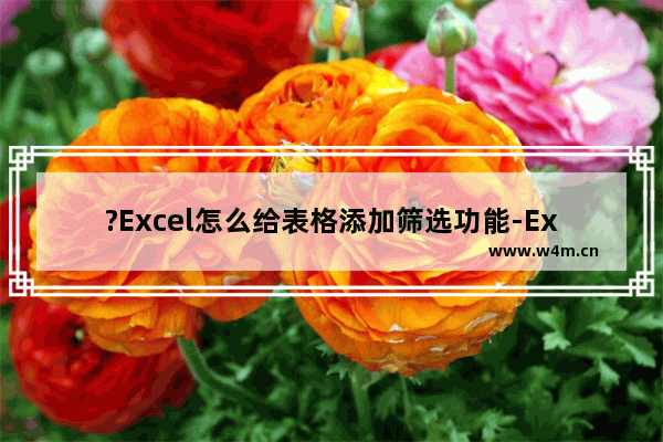 ?Excel怎么给表格添加筛选功能-Excel表格设置筛选功能的方法教程