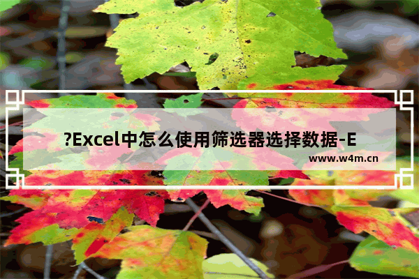 ?Excel中怎么使用筛选器选择数据-Excel表格中使用筛选器进行筛选分类的方法教程