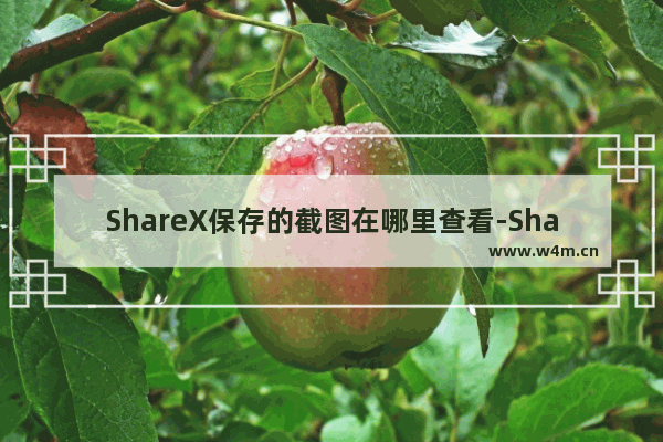 ShareX保存的截图在哪里查看-ShareX查看保存的截图的方法