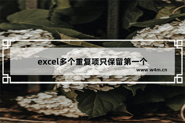 excel多个重复项只保留第一个