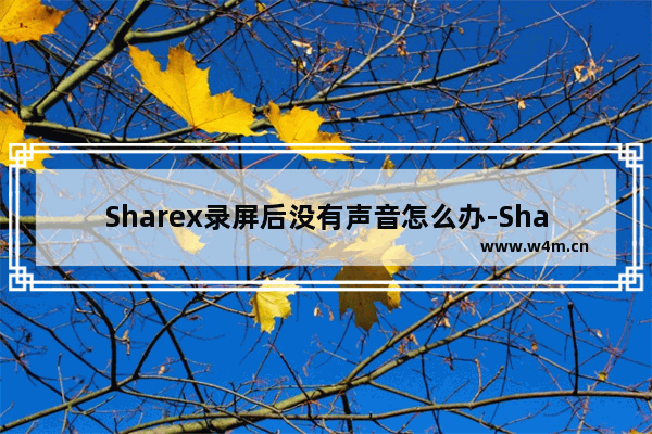 Sharex录屏后没有声音怎么办-ShareX录屏后没有声音的解决方法