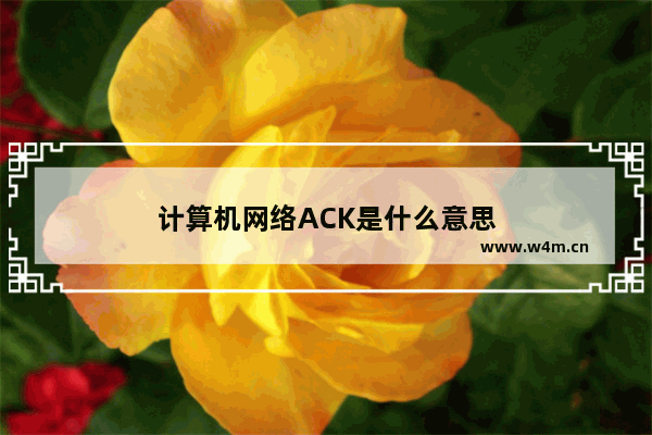 计算机网络ACK是什么意思