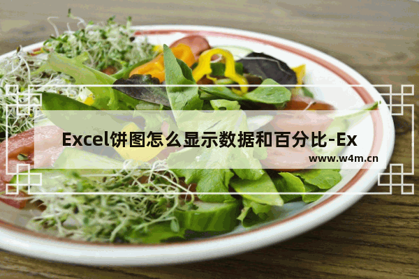 Excel饼图怎么显示数据和百分比-Excel饼图显示数据和百分比的方法