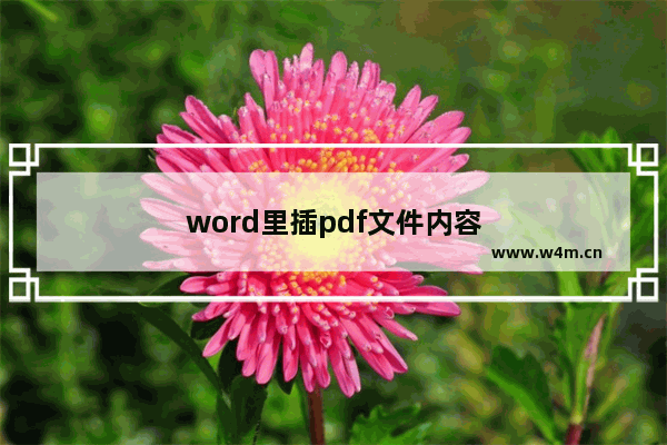 word里插pdf文件内容