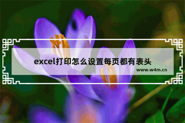 excel打印怎么设置每页都有表头