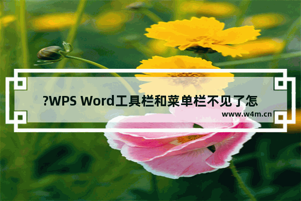 ?WPS Word工具栏和菜单栏不见了怎么恢复-WPS文档电脑版中调出上方功能区的方法教程