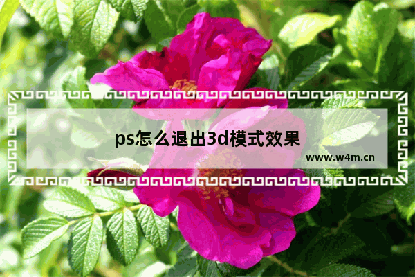 ps怎么退出3d模式效果