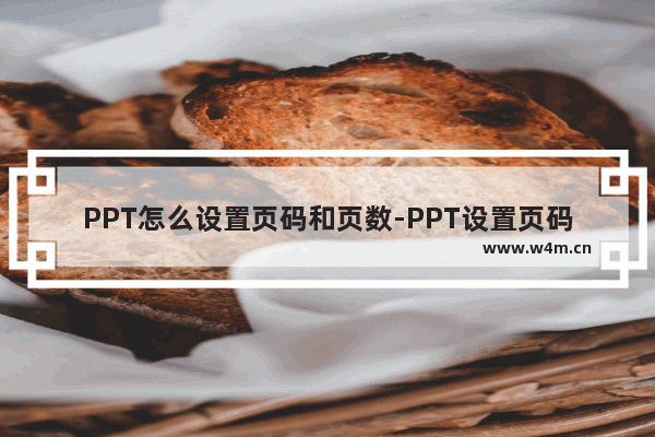 PPT怎么设置页码和页数-PPT设置页码和页数的方法