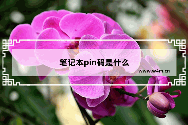 笔记本pin码是什么