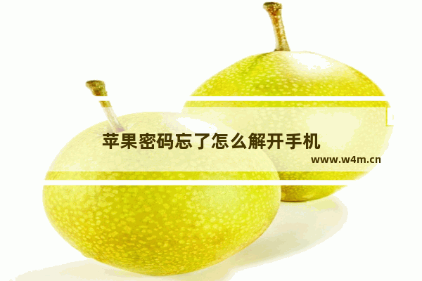 苹果密码忘了怎么解开手机