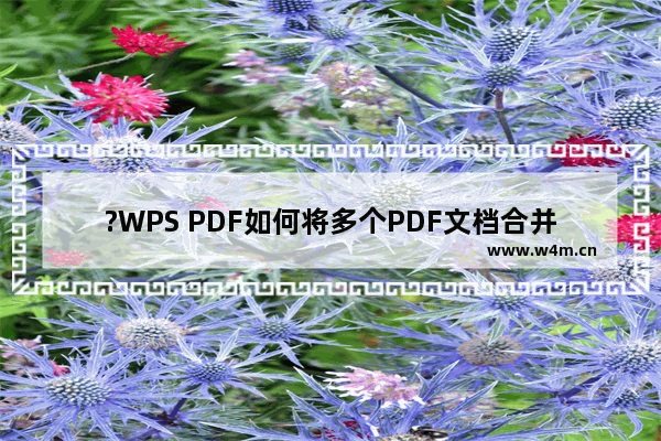 ?WPS PDF如何将多个PDF文档合并到一起-WPS电脑版把两个PDF合并成一个的方法教程