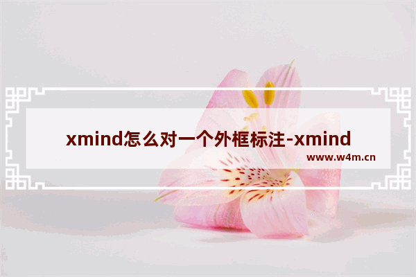 xmind怎么对一个外框标注-xmind给外框添加标注信息的方法