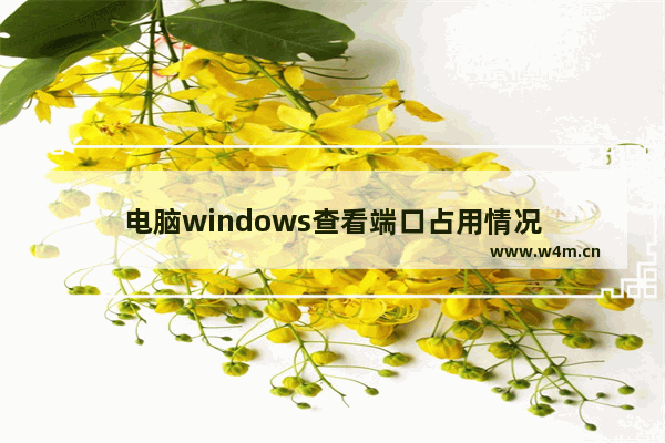 电脑windows查看端口占用情况