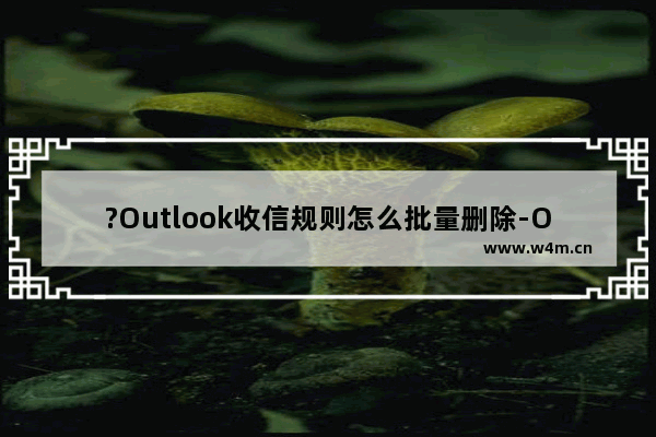 ?Outlook收信规则怎么批量删除-Outlook邮箱中管理规则的方法教程