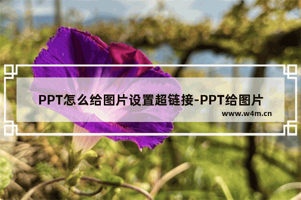 PPT怎么给图片设置超链接-PPT给图片设置超链接的方法