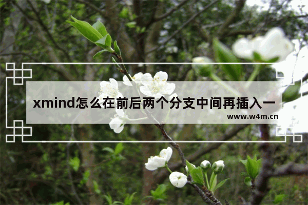 xmind怎么在前后两个分支中间再插入一级-xmind在前后两个分支中间再插入一级的方法