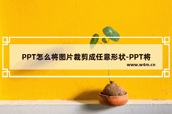 PPT怎么将图片裁剪成任意形状-PPT将图片裁剪成任意形状的方法