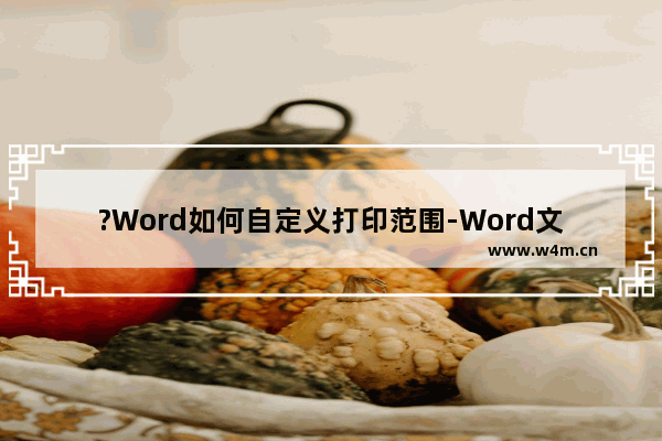 ?Word如何自定义打印范围-Word文档中自己设置打印区域的方法教程