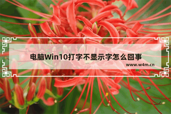 电脑Win10打字不显示字怎么回事