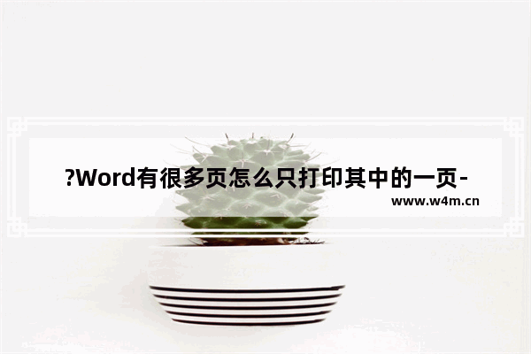 ?Word有很多页怎么只打印其中的一页-Word文档中只打印指定页面的方法教程