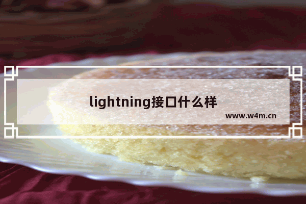 lightning接口什么样