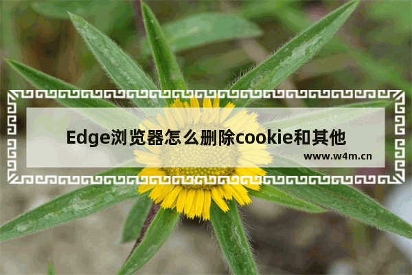 Edge浏览器怎么删除cookie和其他站点数据-Edge浏览器删除cookie和其他站点数据的方法