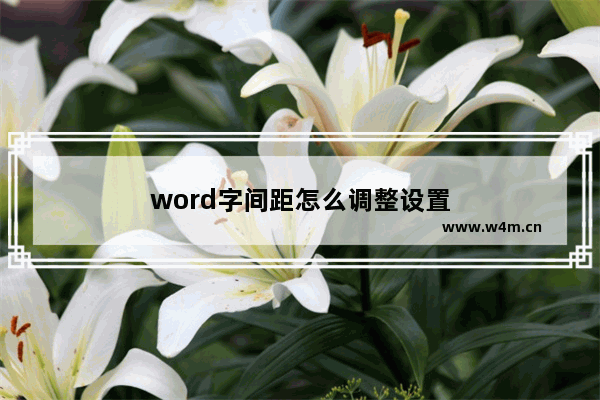 word字间距怎么调整设置