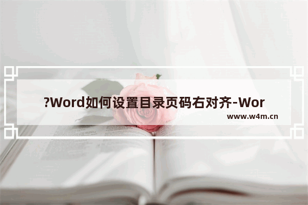 ?Word如何设置目录页码右对齐-Word文档中设置目录页码右对齐的方法教程