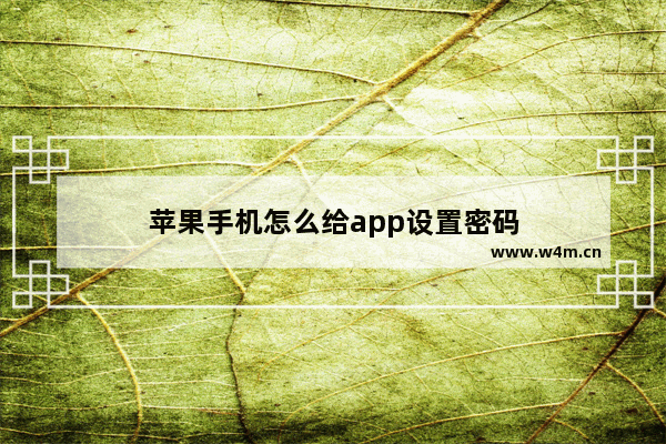 苹果手机怎么给app设置密码