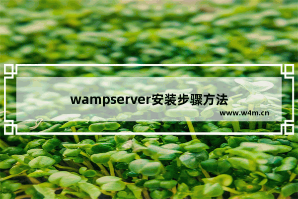 wampserver安装步骤方法