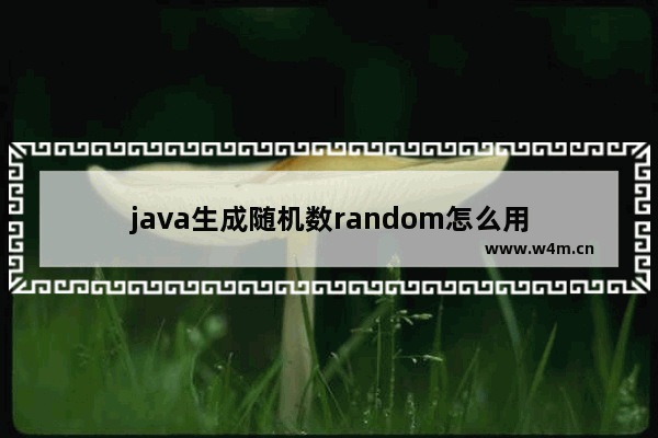 java生成随机数random怎么用