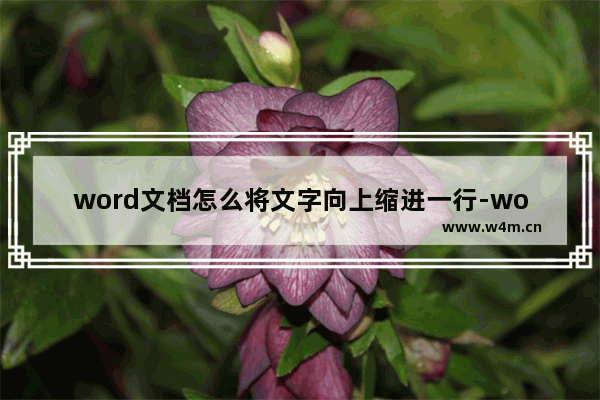 word文档怎么将文字向上缩进一行-word文档将一段文字上移一行的方法