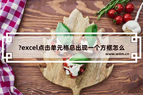 ?excel点击单元格总出现一个方框怎么办-?excel点击单元格总出现一个方框的清除方法