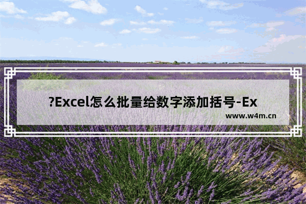 ?Excel怎么批量给数字添加括号-Excel表格中快速批量添加括号的方法教程