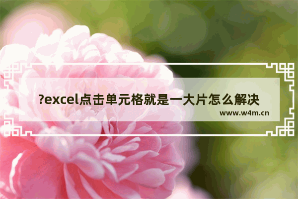 ?excel点击单元格就是一大片怎么解决-?excel点击单元格不是选中一格而是一大片的解决方法