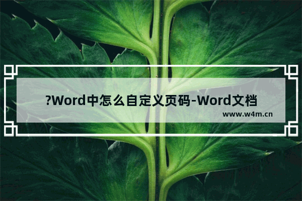 ?Word中怎么自定义页码-Word文档中自定义页码格式方法教程