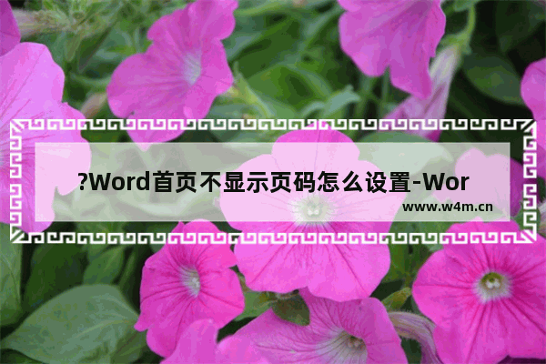 ?Word首页不显示页码怎么设置-Word文档中设置封面的第一页不显示页码的方法教程