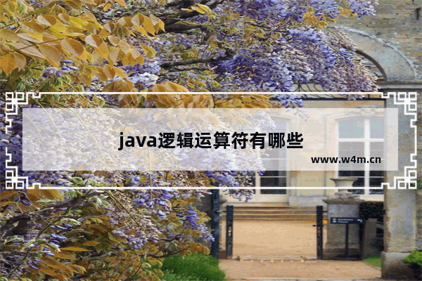 java逻辑运算符有哪些