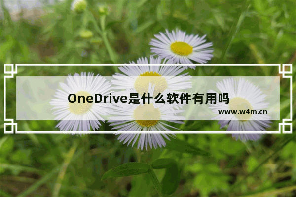 OneDrive是什么软件有用吗