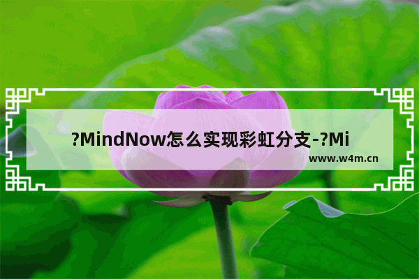 ?MindNow怎么实现彩虹分支-?MindNow设置彩虹分支的方法