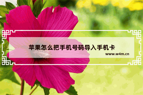 苹果怎么把手机号码导入手机卡