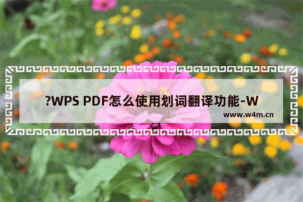 ?WPS PDF怎么使用划词翻译功能-WPS电脑版选中单词内容自动翻译的方法教程