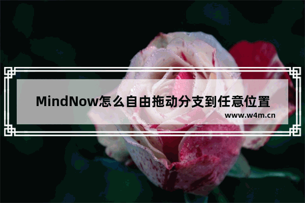 MindNow怎么自由拖动分支到任意位置-MindNow自由拖动分支到任意位置的方法