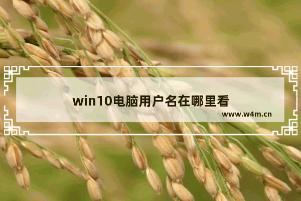 win10电脑用户名在哪里看