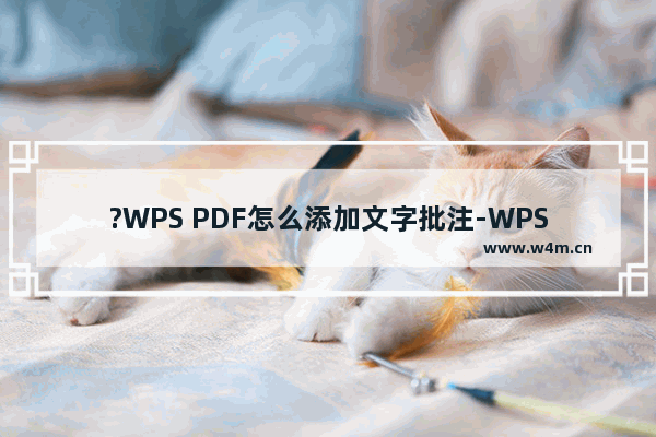 ?WPS PDF怎么添加文字批注-WPS PDF电脑版中插入文字批注的方法教程